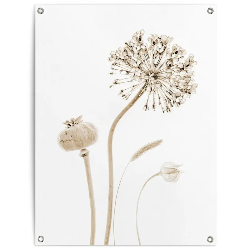 Tuinposter Droogbloemen 80x60