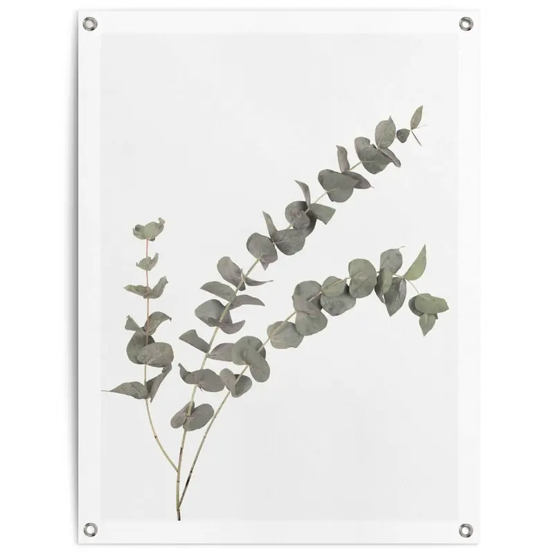 Tuinposter Eucalyptus 80x60
