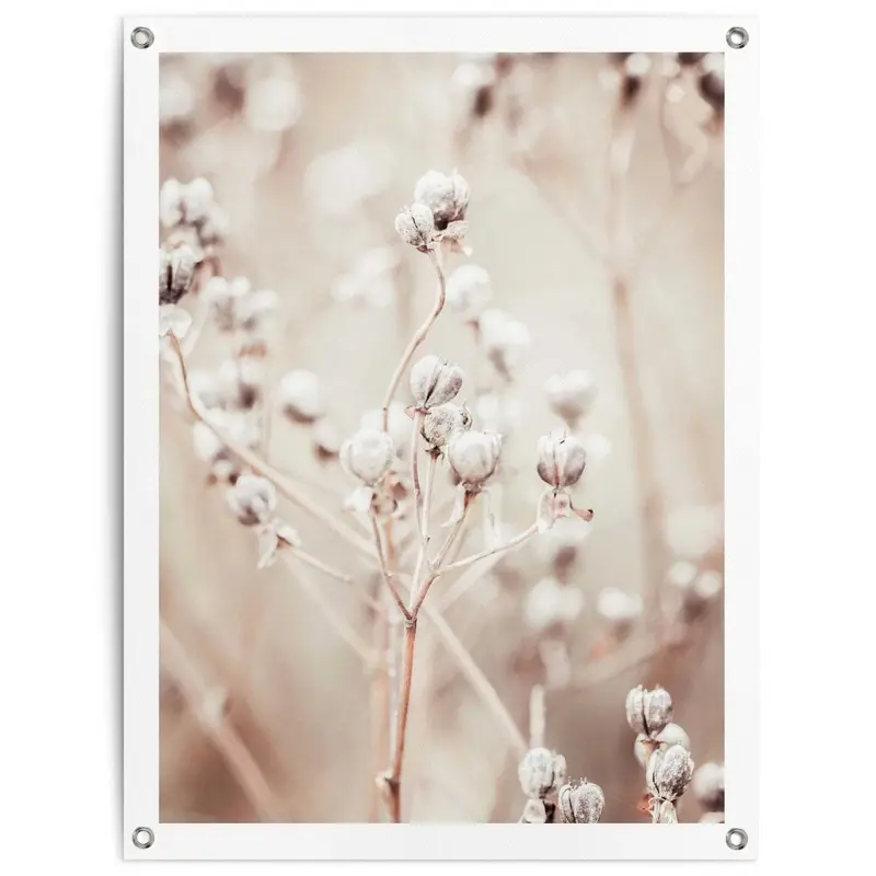 Tuinposter Gedroogde tak 80x60