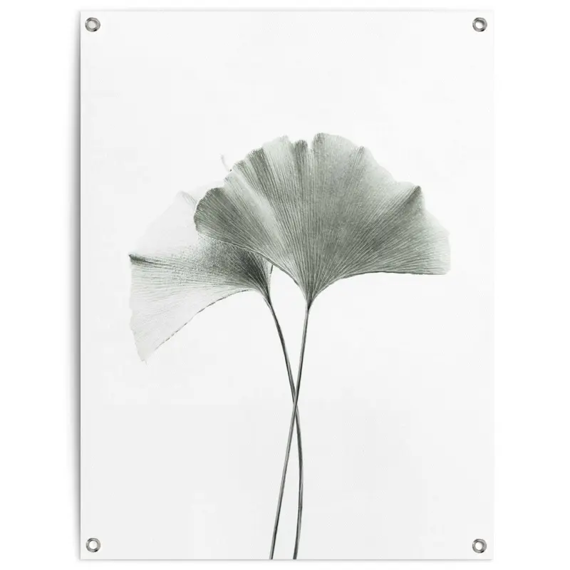 Tuinposter Ginkgo Blad 80x60