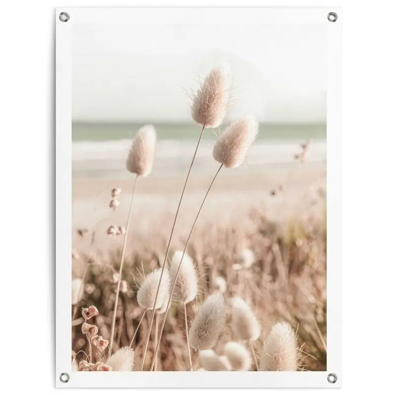 Tuinposter Grasses 80x60