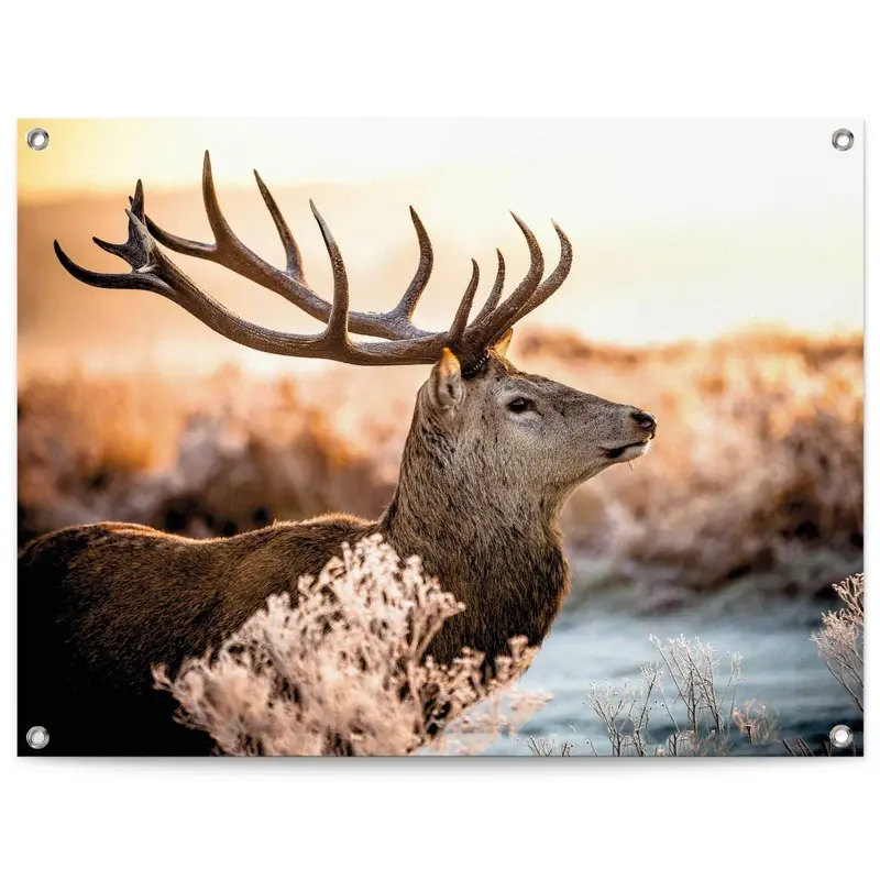 Tuinposter Hert 60x80