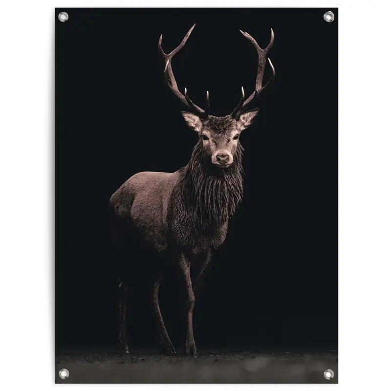 Tuinposter Hert 80x60