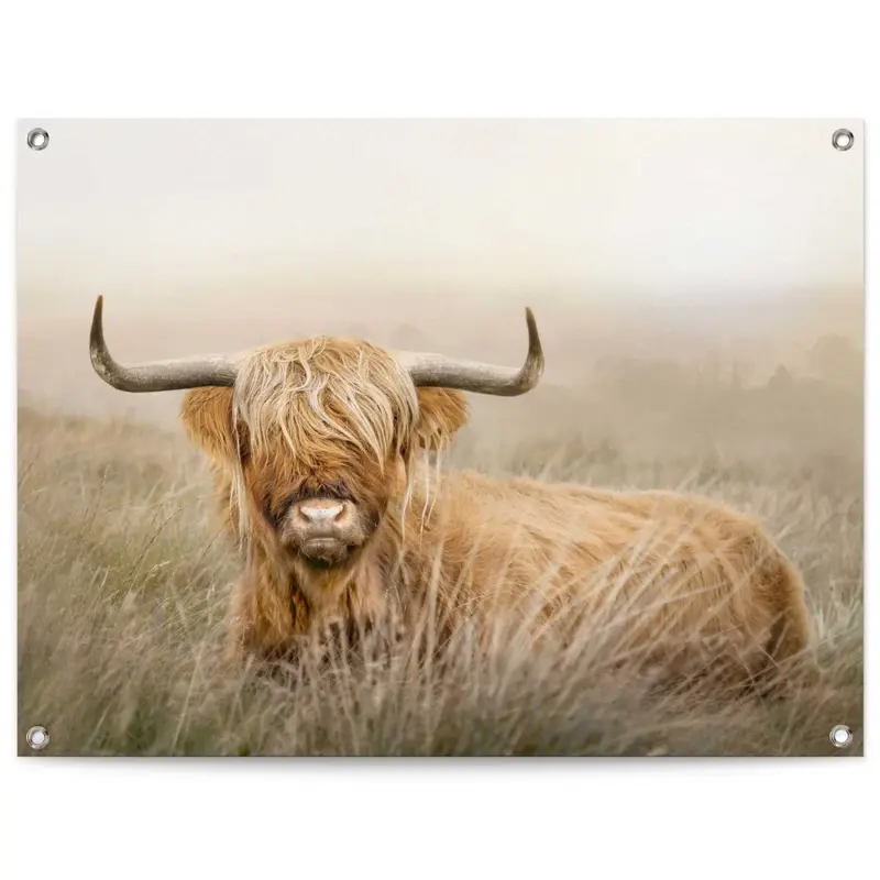 Tuinposter Hooglander 60x80