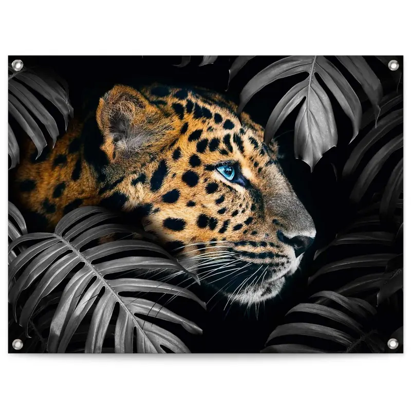 Tuinposter Jungle luipaard 60x80
