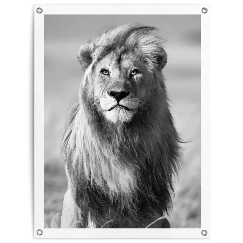 Tuinposter Leeuw 80x60