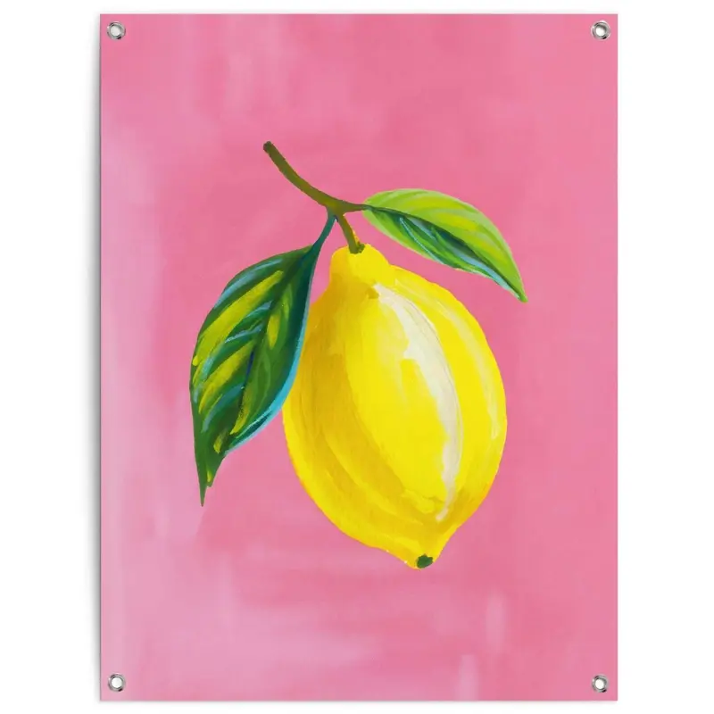 Tuinposter Lemon on Pink 80x60