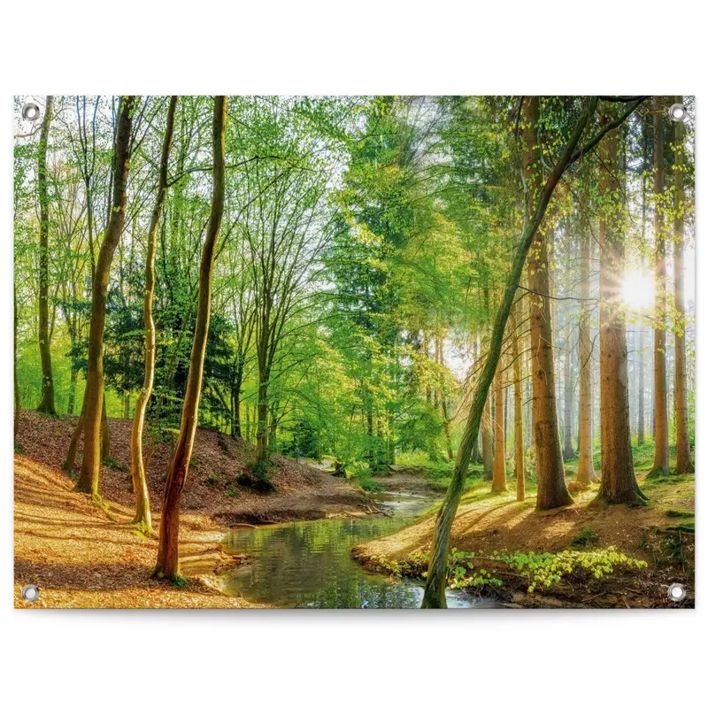 Tuinposter Lentebos 60x80