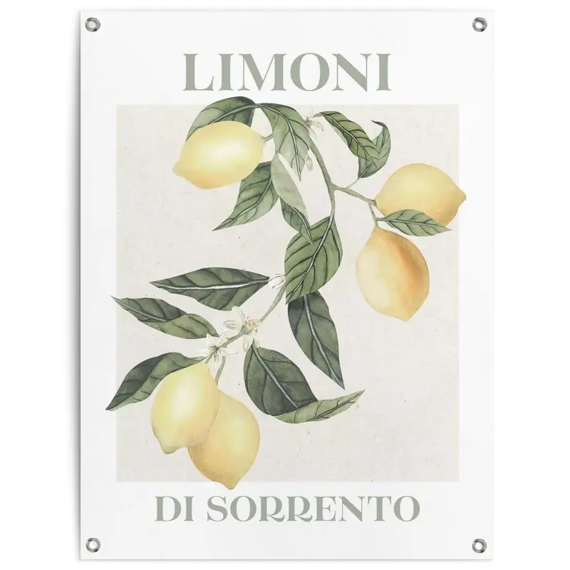 Tuinposter Limoni 80x60