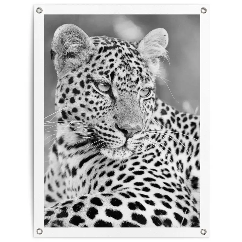 Tuinposter Luipaard 80x60