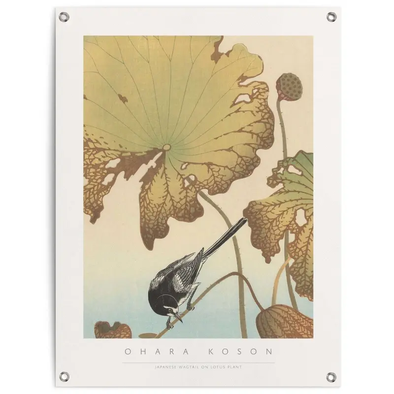 Tuinposter Ohara Koson Kwikstaart op Lotusplant 80x60