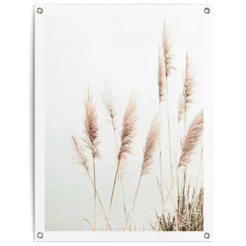 Tuinposter Pampas 80x60