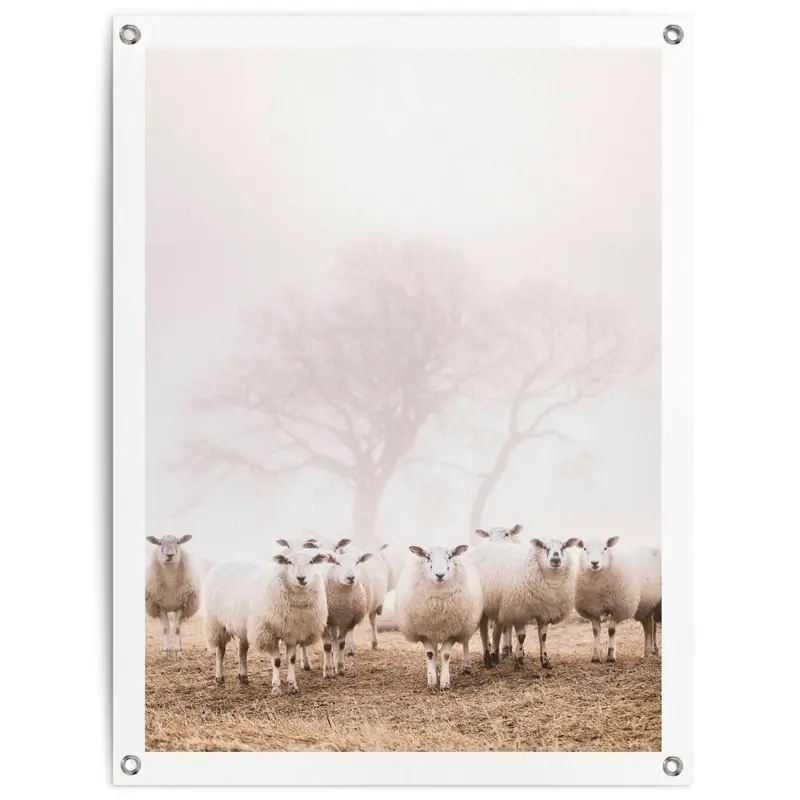 Tuinposter Schaap in de mist 80x60