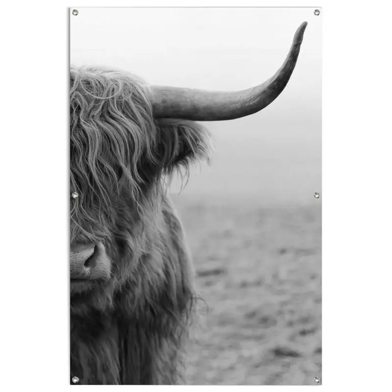 Tuinposter Schotse Hooglander 120x80