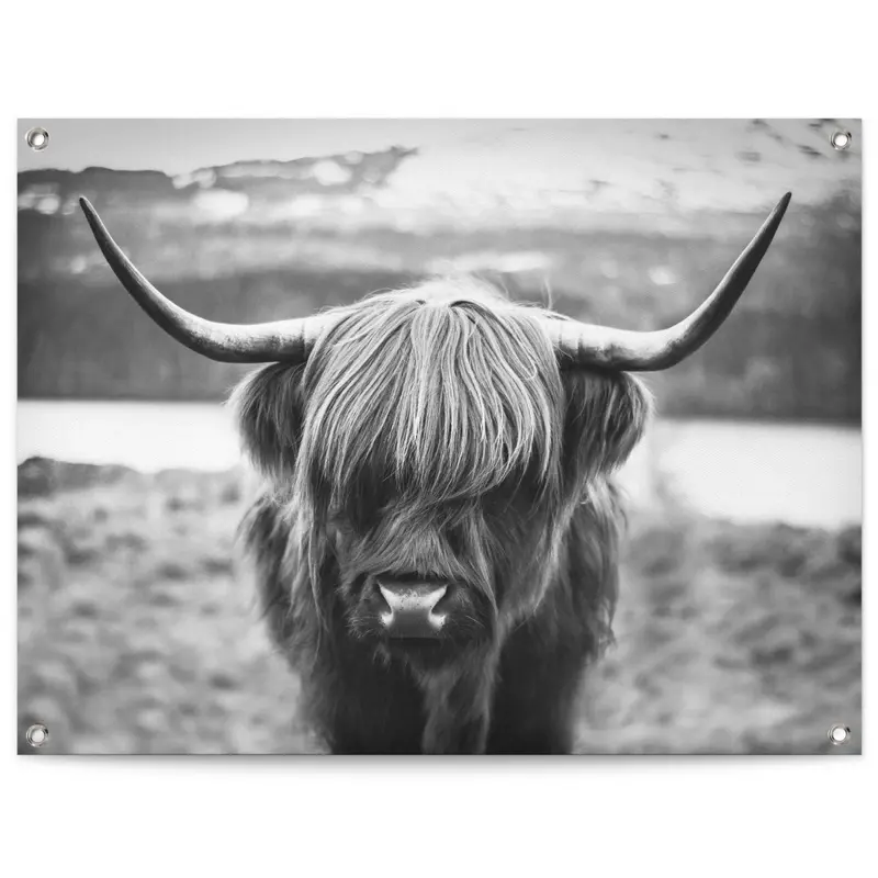 Tuinposter Schotse Hooglander 60x80