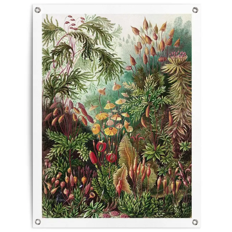 Tuinposter Sea Flora 80x60