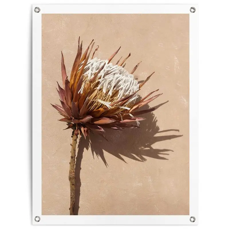Tuinposter Shadow Still 80x60