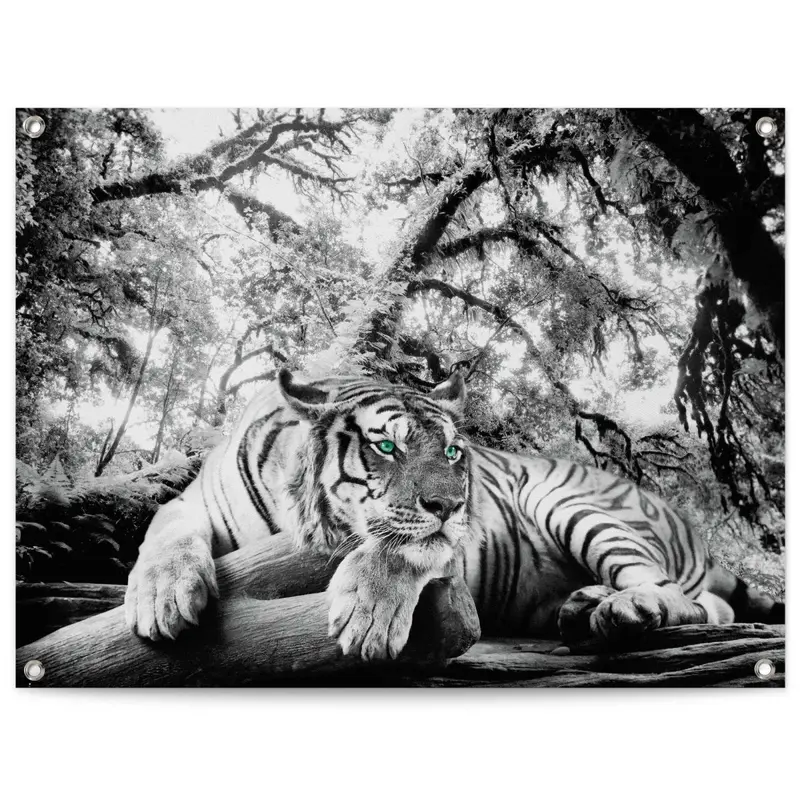 Tuinposter Tijger 60x80