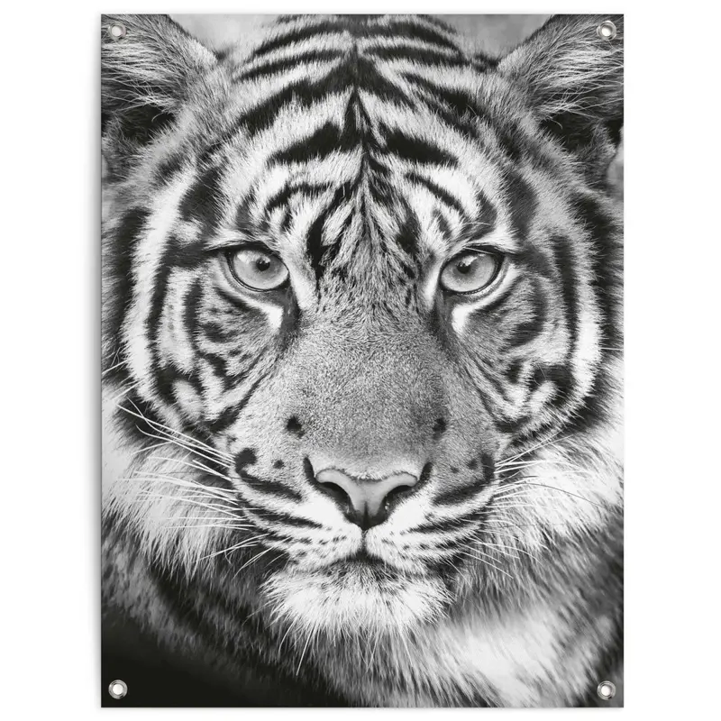 Tuinposter Tijger 80x60