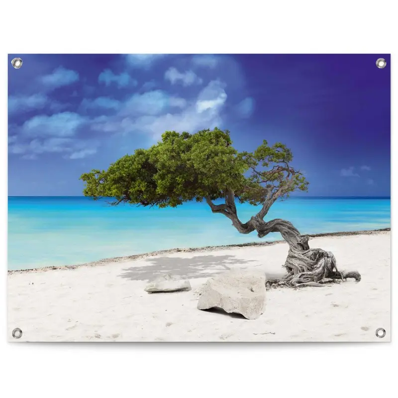 Tuinposter Tropisch Eiland 60x80