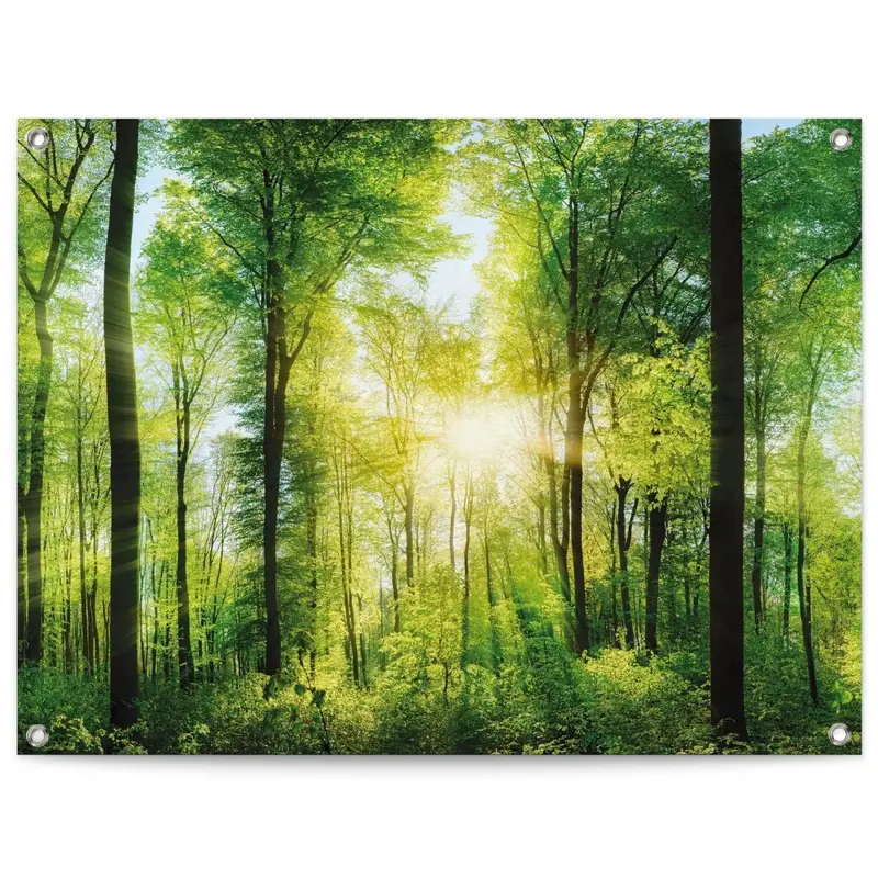 Tuinposter Zomer bos 60x80