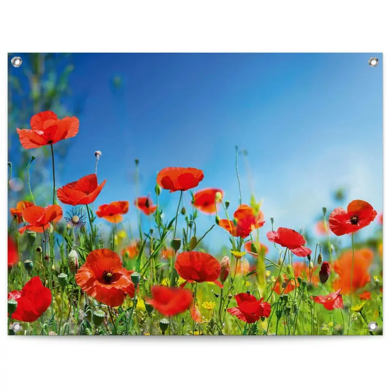 Tuinposter Zomerbloemen 60x80
