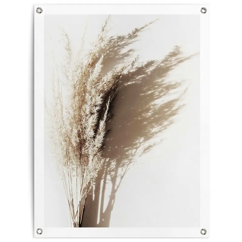 Tuinposter Zonnig gras 80x60