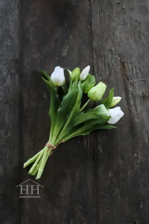 Tulpen bundel mix wit - groen 30cm