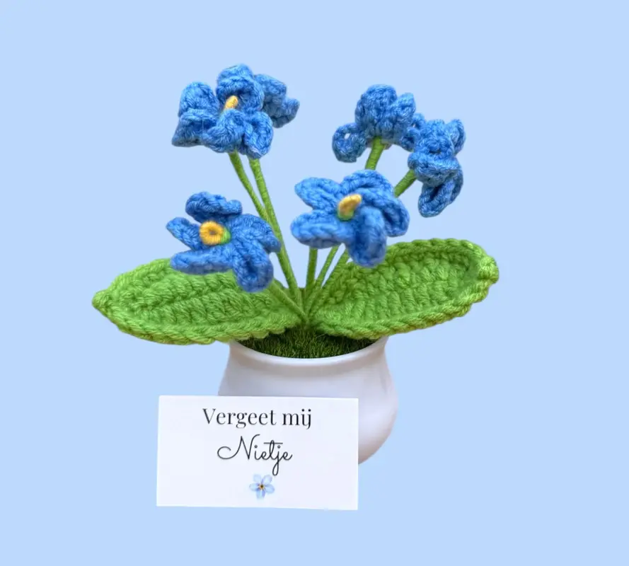 Vergeet mij nietje in potje