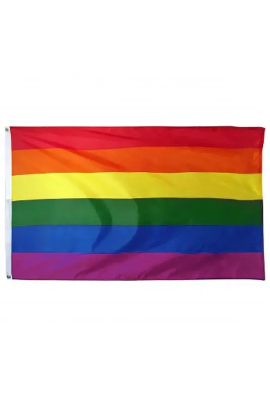 Vlag regenboog 90x150cm