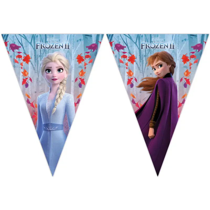 Vlaggenlijn Frozen 2m.