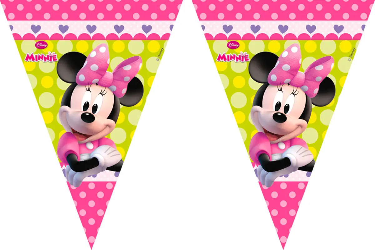 Vlaggenlijn Minnie 3m