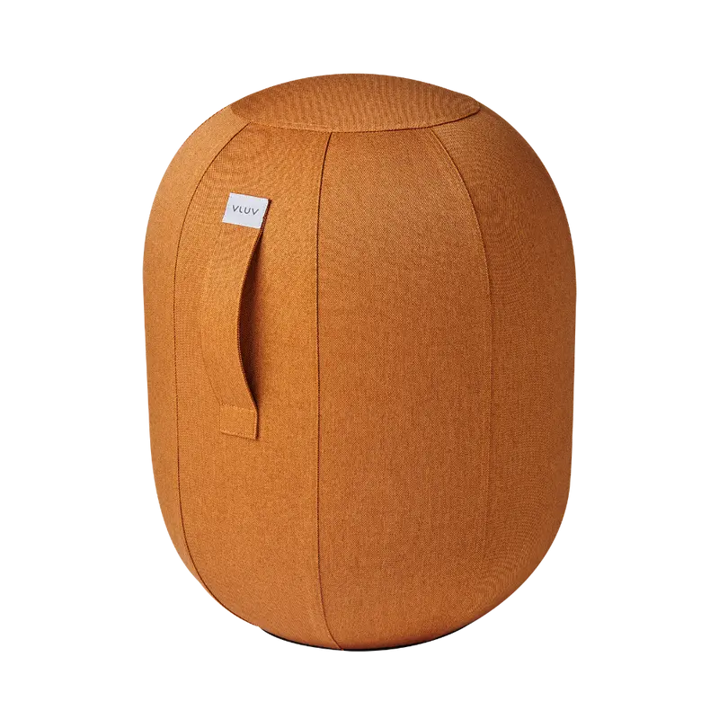 VLUV capsule LEIV balanscapsule M - kurkuma
