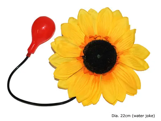 Waterspuit bloem