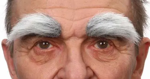 Wenkbrauwen grijs