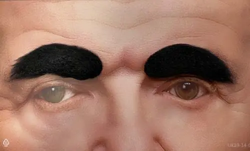 Wenkbrauwen zwart