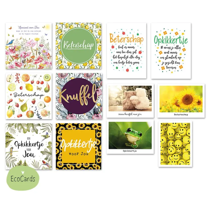Wenskaartenset Ecocards beterschap - 12 stuks