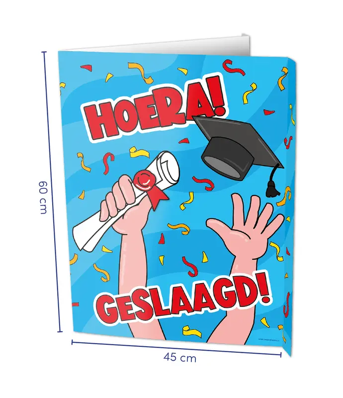 Window sign - Geslaagd school