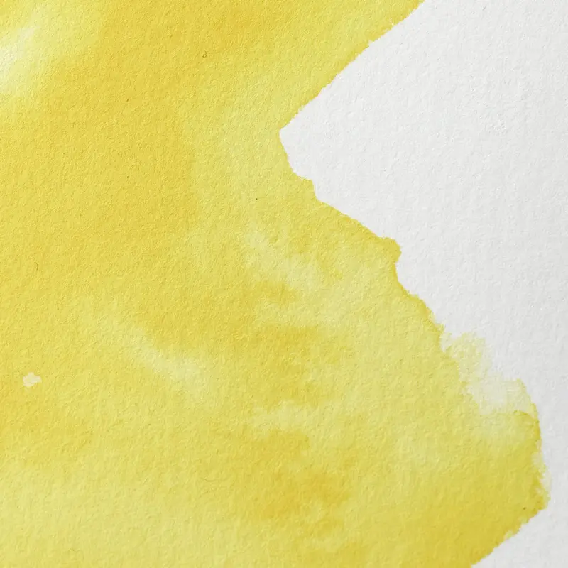Winsor & Newton Professional Water Colour half pan Cadmium-Free Lemon 4
