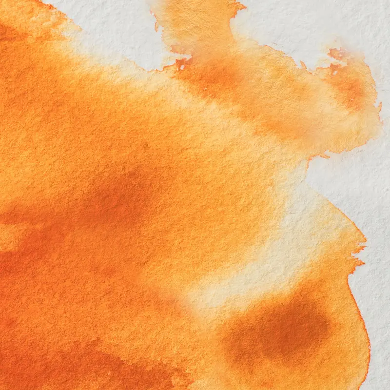 Winsor & Newton Professional Water Colour half pan Cadmium-Free Orange 4