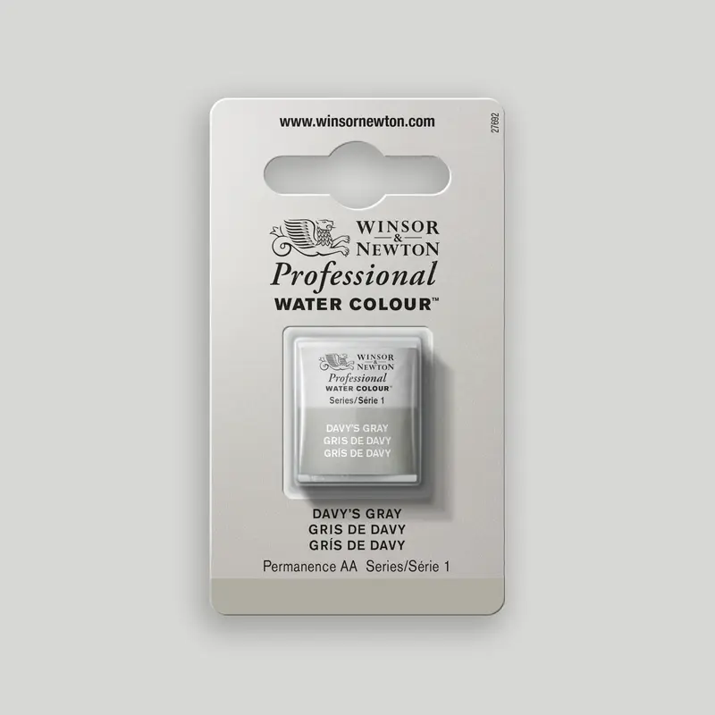Winsor & Newton Professional Water Colour half pan Davys Grey 1