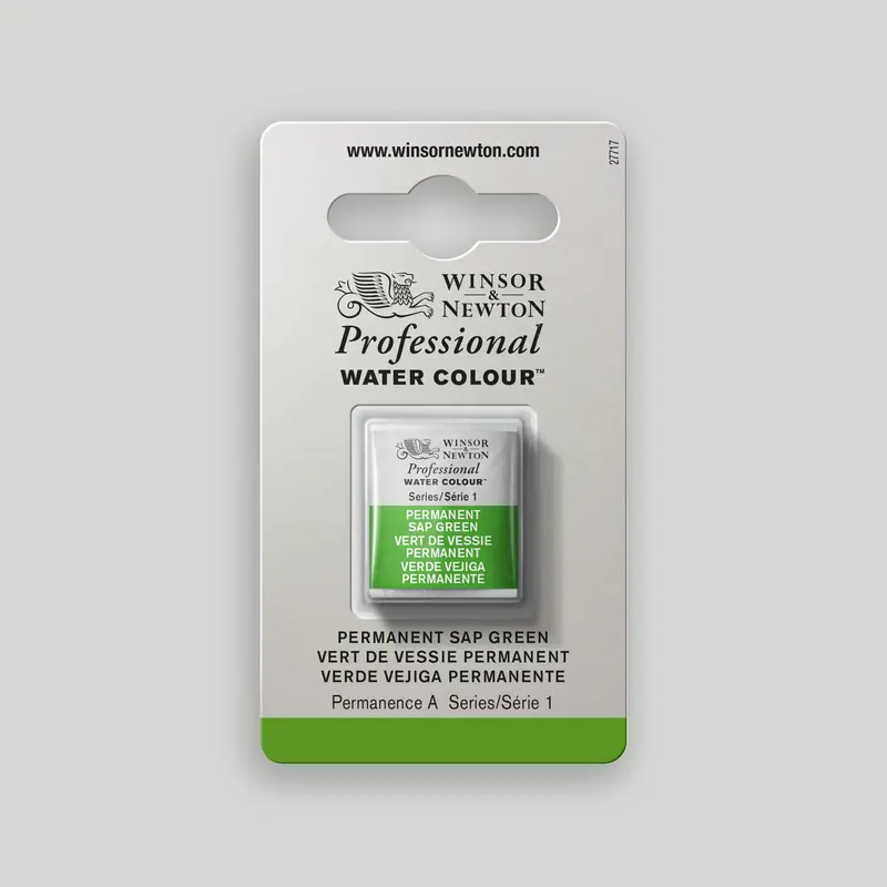 Winsor & Newton Professional Water Colour half pan Permanent Sap Green 3