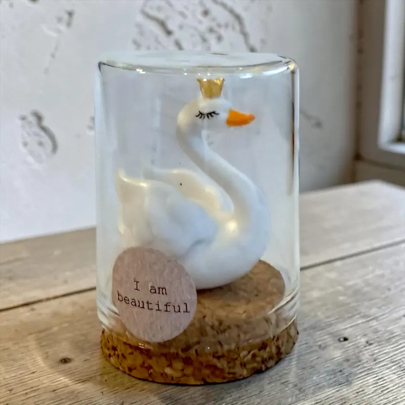 Witte Zwaan in Stolp – I’m Beautiful