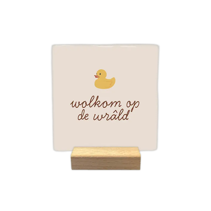Wolkom op de wrâld