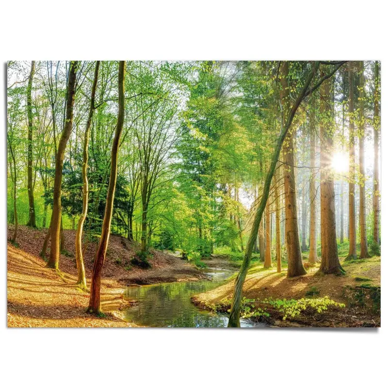 XXL Poster Bos in de zon 100x140