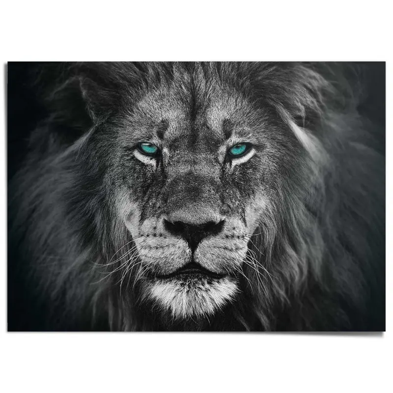 XXL Poster Leeuw 100x140