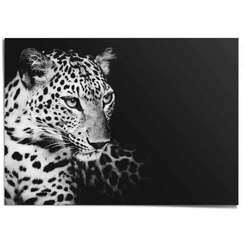 XXL Poster Luipaard 100x140