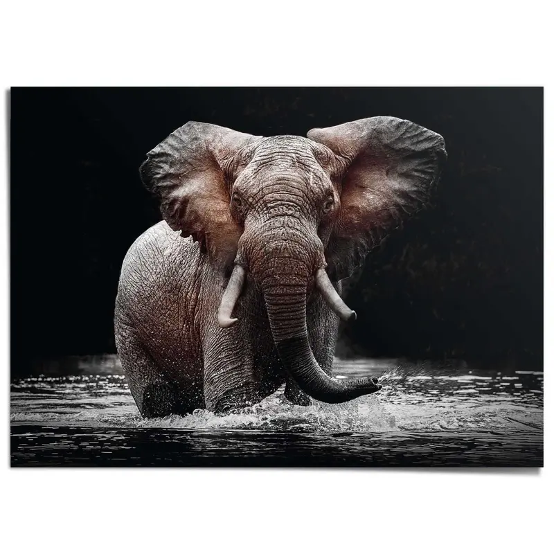 XXL Poster Olifant 100x140