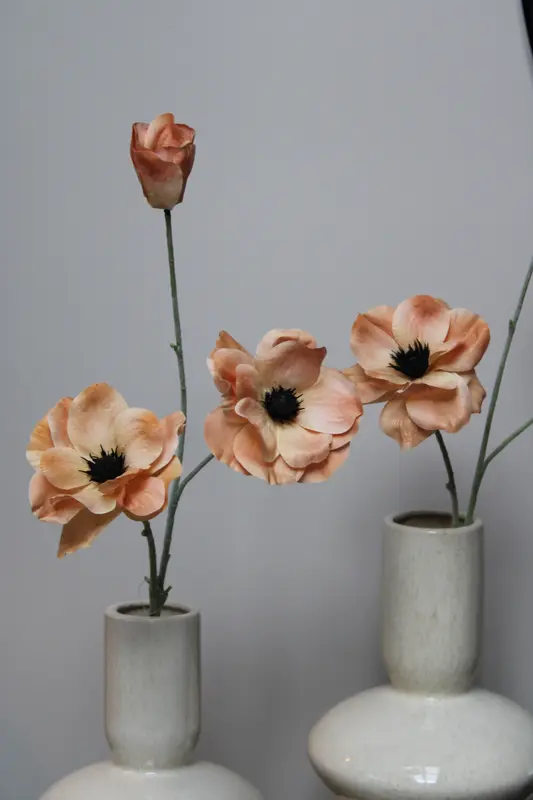 ZIJDEBLOEM - PEACH