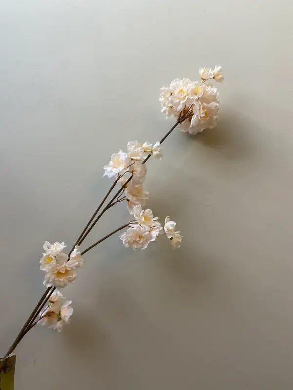 Zijden bloesemtak Prunus beige